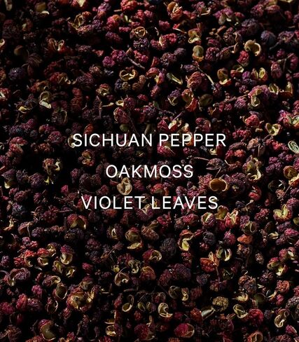 فيكتوريا سيكريت مقابل كولونيا رجال البلاتين (3.4 أوقية) in Saudi Arabia