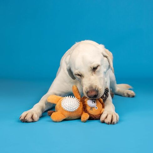 Fringe Studio Ball Squeaker Toy for Pets, Pig (286003) in Saudi Arabia