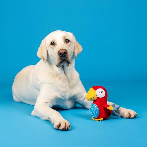 Fringe Studio Ball Squeaker Toy for Pets, Pig (286003) in Saudi Arabia
