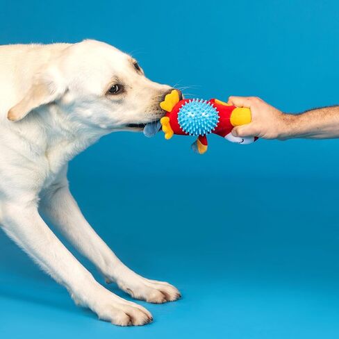 Fringe Studio Ball Squeaker Toy for Pets, Pig (286003) in Saudi Arabia