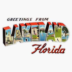 Greetings From Lakeland, Florida Vinyl Decal Wall Laptop Bumper Sticker 5" in Kuwait
