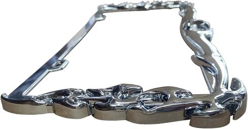 YoungerCar 3D Skulls style ABS Chrome Plate Frame متوافق مع Universal 2 Hole No Cap in Kuwait
