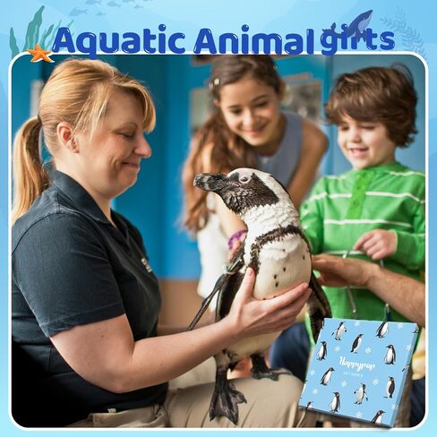 هدايا سلحفاة HAPPYPOP للنساء والرجال - جوارب سلحفاة بحرية مضحكة هدايا المحيط، جوارب سلحفاة هدايا حيوانات للمراهقين in Kuwait