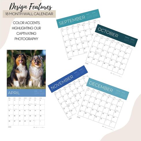 يوليو 2025- ديسمبر 2026 Pugs Wall Calendar 18 شهرًا | 12 "× 24" مفتوحة | تقويم الكلب القابل للهدية 2026 | ورقة سميكة وثيقة للتنظيم والتخطيط | Pacific Waters Press (Pugs) in Kuwait