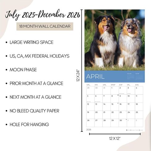 يوليو 2025- ديسمبر 2026 Pugs Wall Calendar 18 شهرًا | 12 "× 24" مفتوحة | تقويم الكلب القابل للهدية 2026 | ورقة سميكة وثيقة للتنظيم والتخطيط | Pacific Waters Press (Pugs) in Kuwait