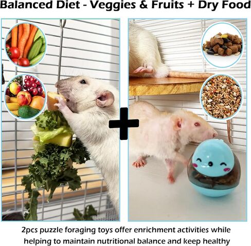2PCS Rat Enrichment Toys Set - Stainless Steel Fruit/Veg Holder & Treat Dispenser, Interactive Foraging Puzzle Toys for Rats/Mice/Birds, Cage Accessories with Hanging Feeder & Intelligence Game in Kuwait