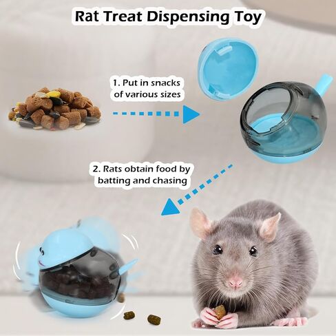 2PCS Rat Enrichment Toys Set - Stainless Steel Fruit/Veg Holder & Treat Dispenser, Interactive Foraging Puzzle Toys for Rats/Mice/Birds, Cage Accessories with Hanging Feeder & Intelligence Game in Kuwait