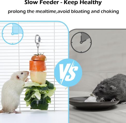 2PCS Rat Enrichment Toys Set - Stainless Steel Fruit/Veg Holder & Treat Dispenser, Interactive Foraging Puzzle Toys for Rats/Mice/Birds, Cage Accessories with Hanging Feeder & Intelligence Game in Kuwait