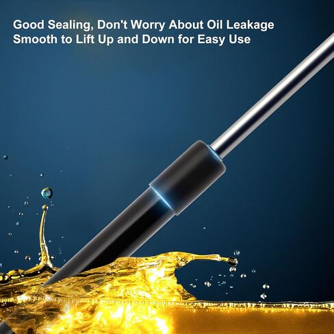 LIFT يدعم الدعامات غاز الربيع رقم 10399704 لشيفروليه كورفيت المكشوفة/هاتشباك 2005-2013 Black 2PCS in Saudi Arabia