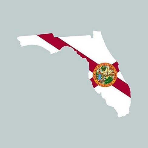 Florida State Shaped Flag Sticker Self Adhesive Vinyl Decal Sticker FL Made in USA in Saudi Arabia