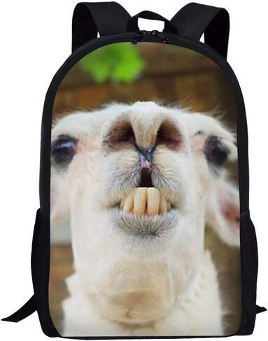 Dellukee Ostrich Print Print Funny School Backpack for Kids Boys Girls Middle School Book Book Bag Bag Barge Daypack Daypack in Kuwait