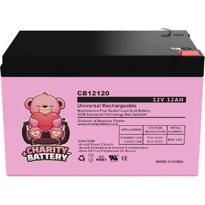CB12120 12V 12Ah F2 Razor Battery fits MX500 MX650, W15128190003-2 Pack in Saudi Arabia