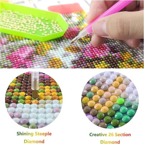 Diymood DIY 5D Diamond Painting Kits for Adults Butterfly - Paint with Diamond Art Kits for Adults Beaches Full Drill Round Canvas Mosaic Beginner Home Wall Decor Gift 12x16 inch z10 in Kuwait