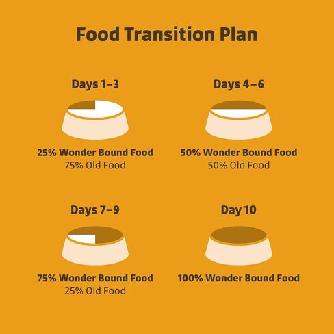 Amazon Brand - Wonder Bound Small Breed Wet Dog Food, Filet Mignon Flavor, Loaf in Gravy, 3.5 Ounce (Pack of 12) in Kuwait