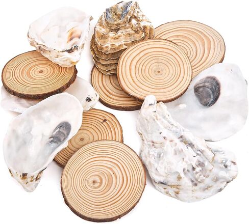 JQAQJU 20pcs قذائف البحر لصياغة 3-4 "، ديكور ميكور رمل النجوم للحرف اليدوية ، قذائف الأسقلوب للطهي ، صدف من أجل الحرف اليدوية ديي شاطئية شمعة ديكور زفاف الأسماك الزفاف in Kuwait