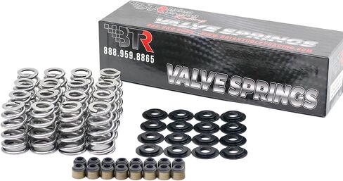BTR Brian Tooley Racing .625" Beehive LS Valve Spring Kit | Fits LS1 LS3 L96 L92 L94 L9H LM7 LQ4 4.8L 5.3L 5.7L 6.0L 6.2L | High Performance LS Valve Springs in Saudi Arabia
