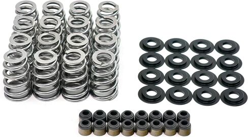 BTR Brian Tooley Racing .625" Beehive LS Valve Spring Kit | Fits LS1 LS3 L96 L92 L94 L9H LM7 LQ4 4.8L 5.3L 5.7L 6.0L 6.2L | High Performance LS Valve Springs in Saudi Arabia
