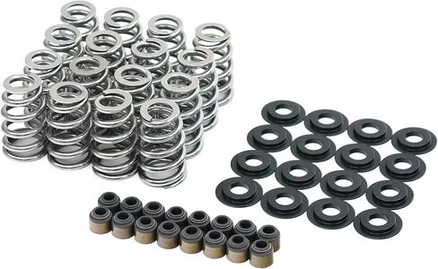 BTR Brian Tooley Racing .625" Beehive LS Valve Spring Kit | Fits LS1 LS3 L96 L92 L94 L9H LM7 LQ4 4.8L 5.3L 5.7L 6.0L 6.2L | High Performance LS Valve Springs in Saudi Arabia