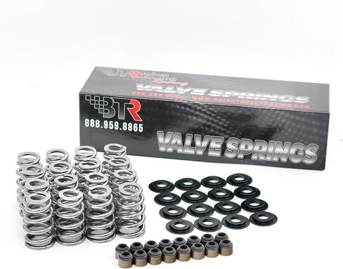BTR Brian Tooley Racing .625" Beehive LS Valve Spring Kit | Fits LS1 LS3 L96 L92 L94 L9H LM7 LQ4 4.8L 5.3L 5.7L 6.0L 6.2L | High Performance LS Valve Springs in Saudi Arabia