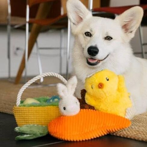 P.L.A.Y. Cute Plush Dog Toys - Hippity Hoppity Easter Themed Durable Squeaker Chew Toy, Great for Puppies & Small, Medium, Large Dogs - Machine Washable, Recycled Materials (Funny Bunnies with Carrot) in Kuwait