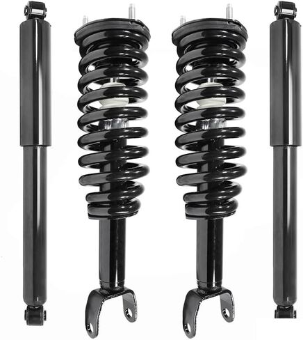COMPLETESTRUTS - Front Complete Strut Assemblies with Coil Springs and Rear Shock Absorbers Replacement for 2005-2009 Dodge Dakota 4WD - Set of 4 in Saudi Arabia