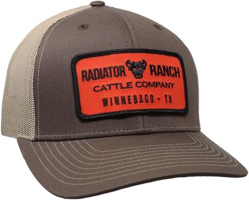 Rodeo Time Dale Brisby Radiator Ranch Patch القبعة Snapback القابلة للتعديل in Saudi Arabia