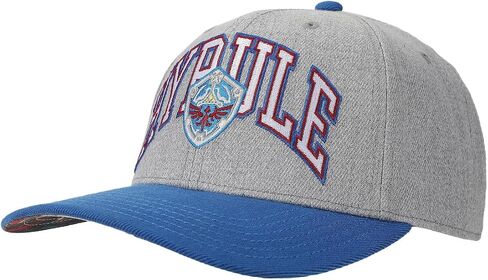 BioWorld أسطورة Zelda Hyrule Shield Gray & Blue Snapback Hat in Saudi Arabia