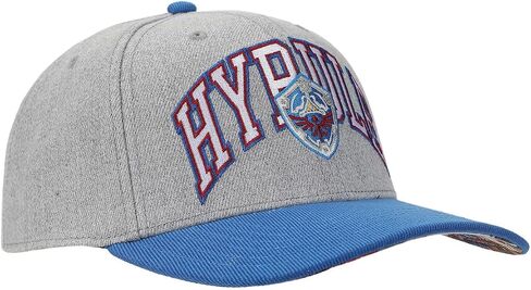 BioWorld أسطورة Zelda Hyrule Shield Gray & Blue Snapback Hat in Saudi Arabia