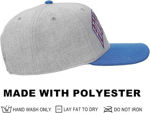 BioWorld أسطورة Zelda Hyrule Shield Gray & Blue Snapback Hat in Saudi Arabia