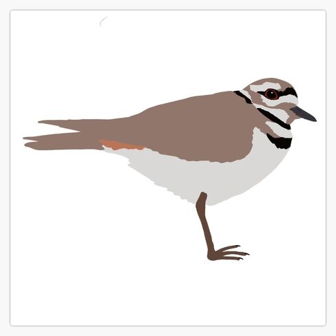 ملصق Magndeer Killdeer Magnetic المصد 5 " in Saudi Arabia