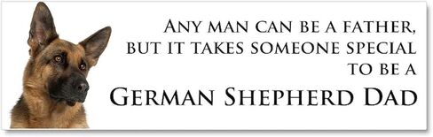 Cafepress German Shepherd Dad Car Magnet 10 × 3 10 "× 3" ، مغناطيس الوفير in Kuwait