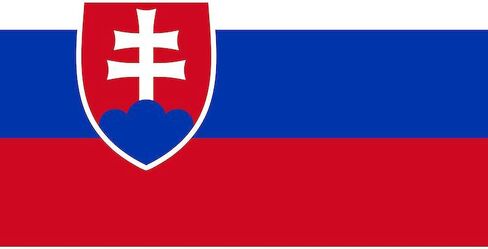 CafePress Flag of Slovakia Oval Car Magnet, Euro Oval Bumper Magnet in Saudi Arabia