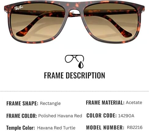 Ray-Ban RB2216 مستطيل الشكل الشمسي مع حزمة مجموعة النظارات الرسمية in Kuwait
