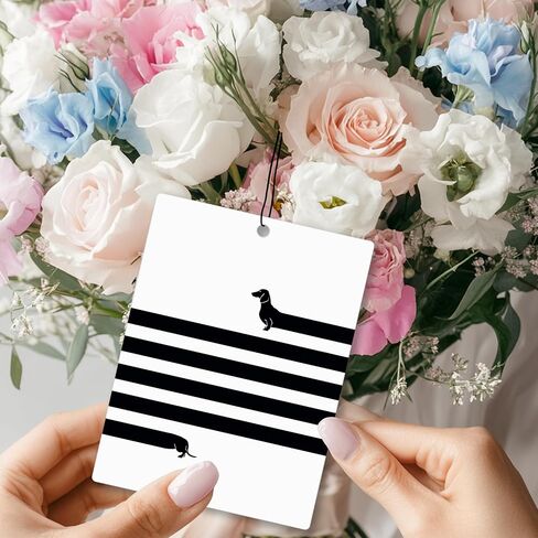 Mancheng-zi Funny Corgi Dog Car Air Freshener 3Pcs, Corgi Gifts for Lover Women Air Freshener Hanging for Cars Closet Drawer or Books, Cute Dog Car Accessories Mirror Decor for Women in Kuwait