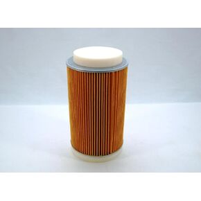 Kawasaki OEM Air Filter Teryx Teryx4 11029-0025 in Saudi Arabia