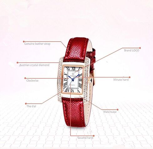 Carlien Luxury Square Dress Ladies Quartz Watch for Women Roman Dial Diamond Leather Strap Wrist Watch in Saudi Arabia