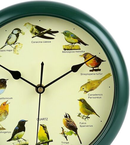 Bird Wall Clock Wall Hanging Clock Decor Decorative Clock Bird Clock with Sound for Kitchen in Saudi Arabia