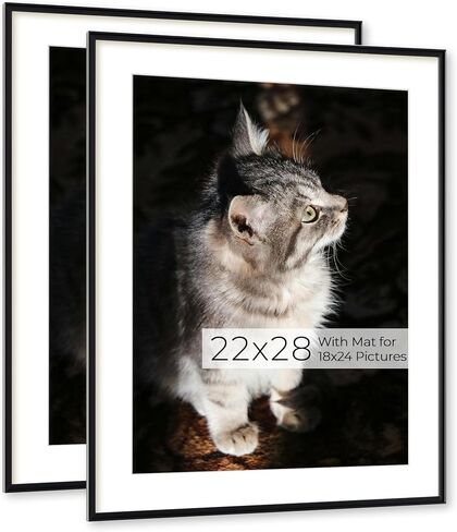 Richfocus الألمنيوم إطار صورة - 12x16 إطار معدني أسود مع حصيرة للصور 9x12 ، إطار عائم مع شماعات Plexiglass - إطار الملصقات المتضمنة لتديين الجدار المنزلي ، مجموعة من 3 in Kuwait