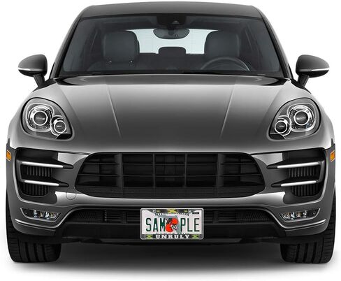 Metal Insert License Plate Frame Unruly Jamaican Jamaica B Weatherproof Car Accessories Black 2 Holes Solid Insert in Kuwait