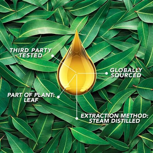 SpaRoom Aromatherapy 100% Pure Undiluted Essential Oil, Refresh Peppermint, 10 mL in Saudi Arabia