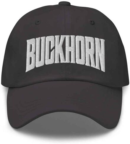 Buckhorn Baseball Cap Buckhorn Dad Hat Pennsylvania Pa Hat Hat Progroider in Kuwait