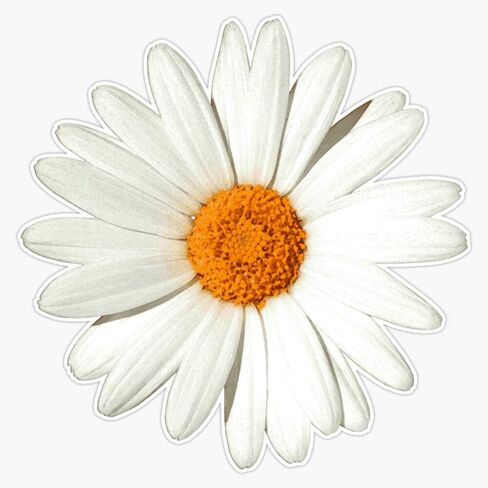 Daisy Vinyl مقاومة للماء ملصق ملصق سيارة جهاز الكمبيوتر المحمول. in Saudi Arabia