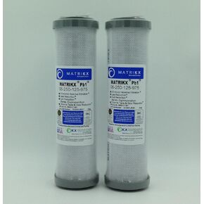 Pb1 10-Inch Length Extruded Carbon Block Filter Cartridge, 2-Pack