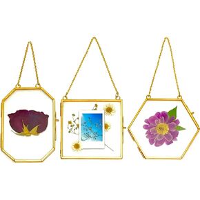 Double Glass Frame for Pressed Flowers, Polaroid Photo and Artwork - Hanging Pressed Flower Frames - Gold Flower Press Picture Frame for Leaf and Dried Floral Plant - Wall Decor Clear