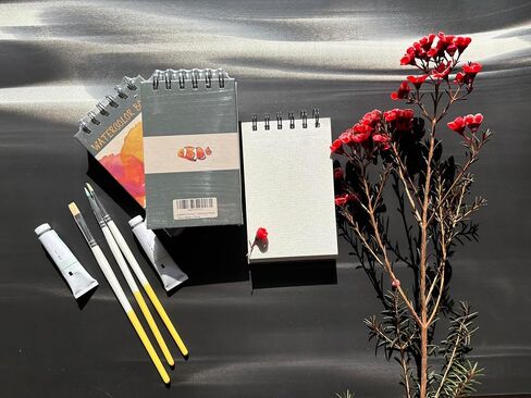 حزمة PapleArte Premium المكونة من 3,105 ورقة، 3.5 * 5.5 بوصة 300 جرامًا للمتر المربع/140 رطلًا من ورق الألوان المائية - خالي من الأحماض للأطفال، غلاف حلزوني in Saudi Arabia