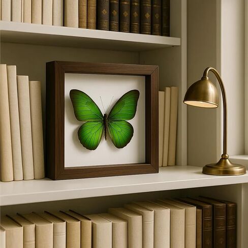 Cloisonne Enamel 3D Butterfly DIY Craft Kit, 2Pcs Filigree Enamel Art Projects Craft Supplies, Beginner-Friendly, Mother's Day Stress Relief Craft Kit Gifts, Handmade Home Decor Gifts, Hobby for Women in Saudi Arabia