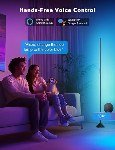 DAYBETTER Floor Lamp, LED BGRIC Smart Corner Lights, Standing Floor Lamps for Bedroom with APP and Remote, Music Sync and 16 Million Colors, Ambient Lighting for Home Decor(Black) in Kuwait