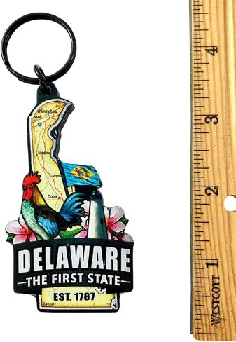 Westmon Works Delaware Keychain Hirvinir مع خريطة الدولة وعلم الصور سلسلة مفاتيح الأكريليك in Saudi Arabia