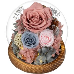 Preserved Flowers with Card&Box-Flowers for Delivery Prime,Eternal Rose with Lights,Roses in Glass Dome,Romantic Gift for Her,Mother’s Day,Birthday, Valentine's Day (Pink) in Saudi Arabia
