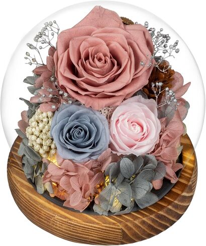 Preserved Flowers with Card&Box-Flowers for Delivery Prime,Eternal Rose with Lights,Roses in Glass Dome,Romantic Gift for Her,Mother’s Day,Birthday, Valentine's Day (Pink) in Saudi Arabia